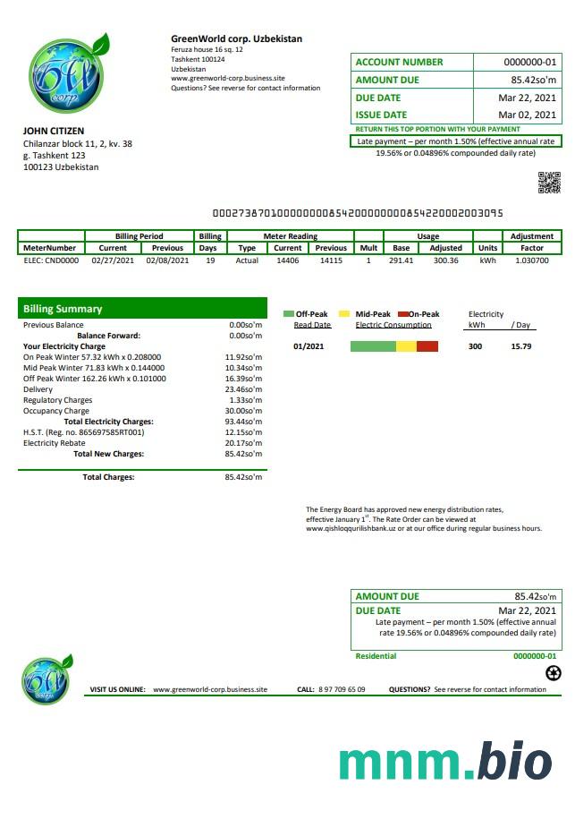 Uzbekistan GreenWorld rachunek za media szablon w formacie Word i PDF, w pełni edytowalne